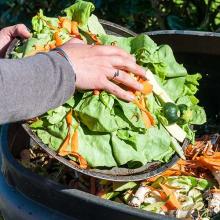 A persons hand adding food scraps to compost