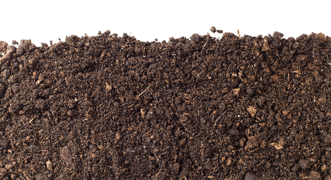 Compost on a white surface
