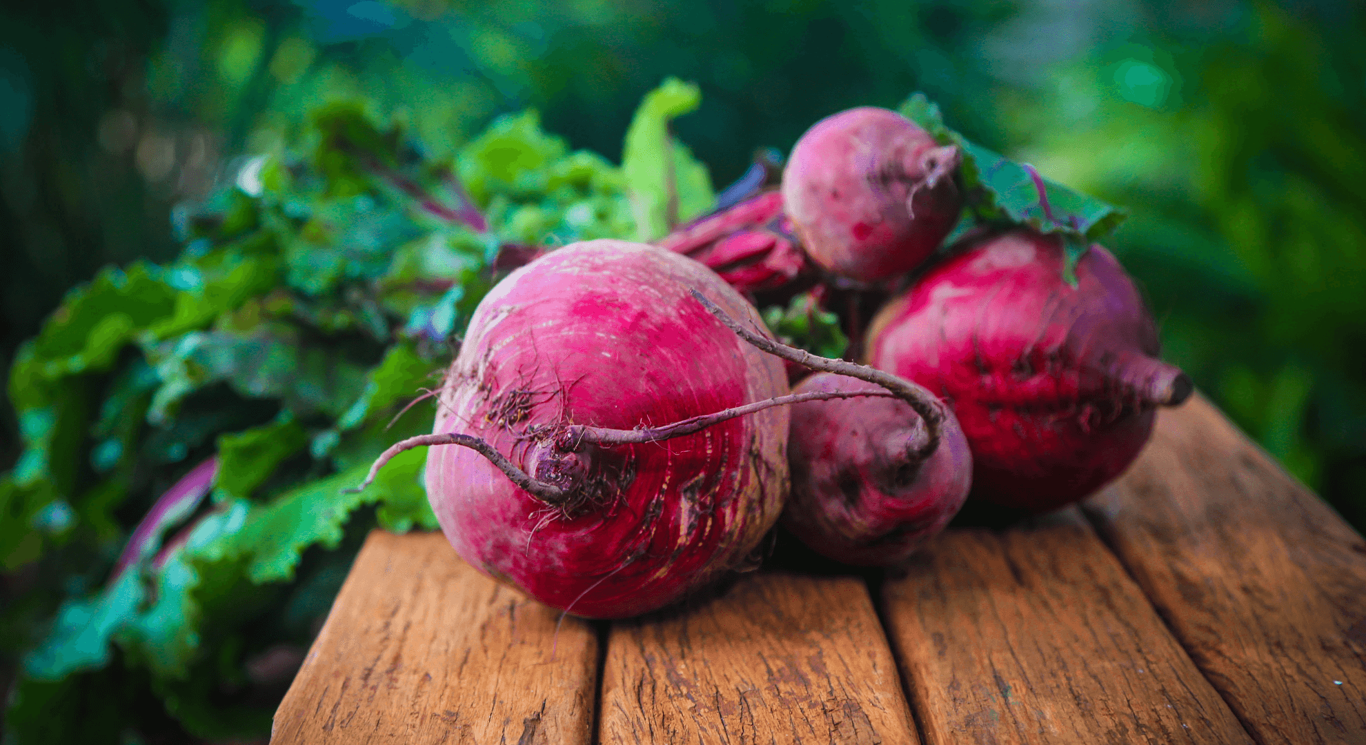 Fresh beetroots sitting on a wooden bench