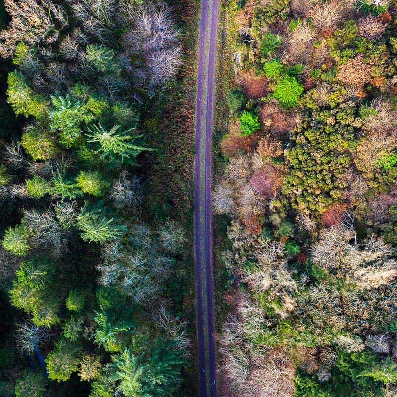 Aerial view photo of a a dirt track road going straight through a woodland area signpost