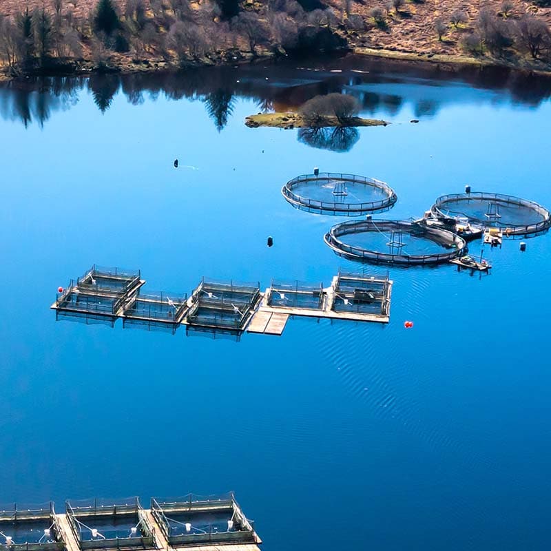 The view from a drone of a small fish farm on a Scottish loch on a calm bright spring morning in Dumfries and Galloway south west Scotland signpost